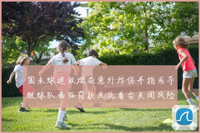 国米球迷放烟花意外炸伤手指或导致球队面临罚款及北看台关闭风险